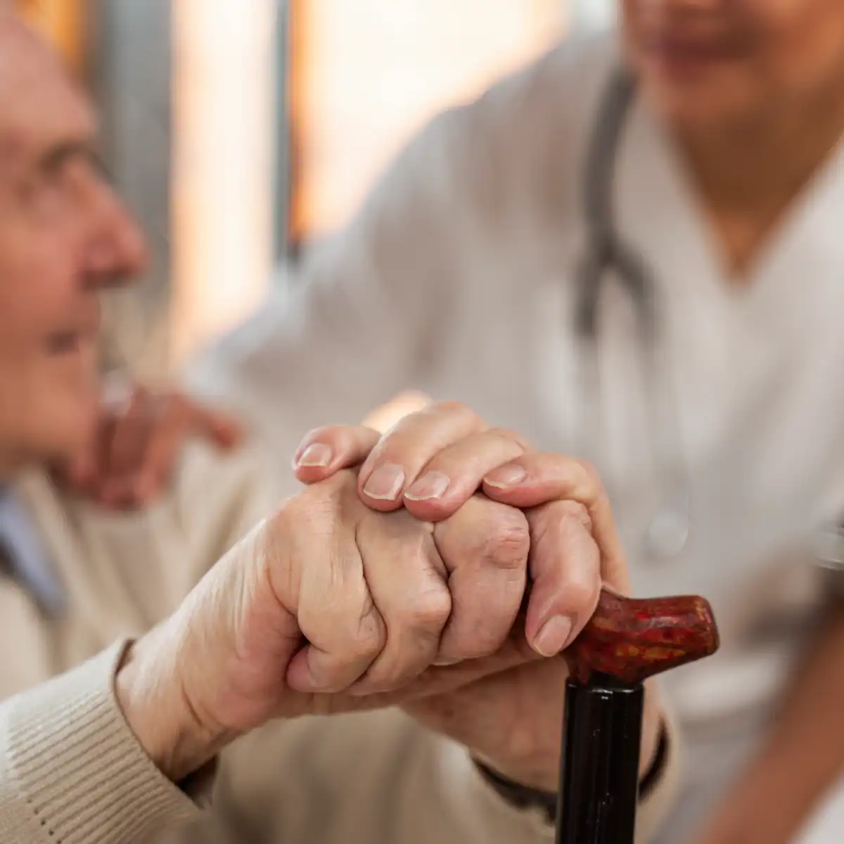 opleidingen palliatieve zorg